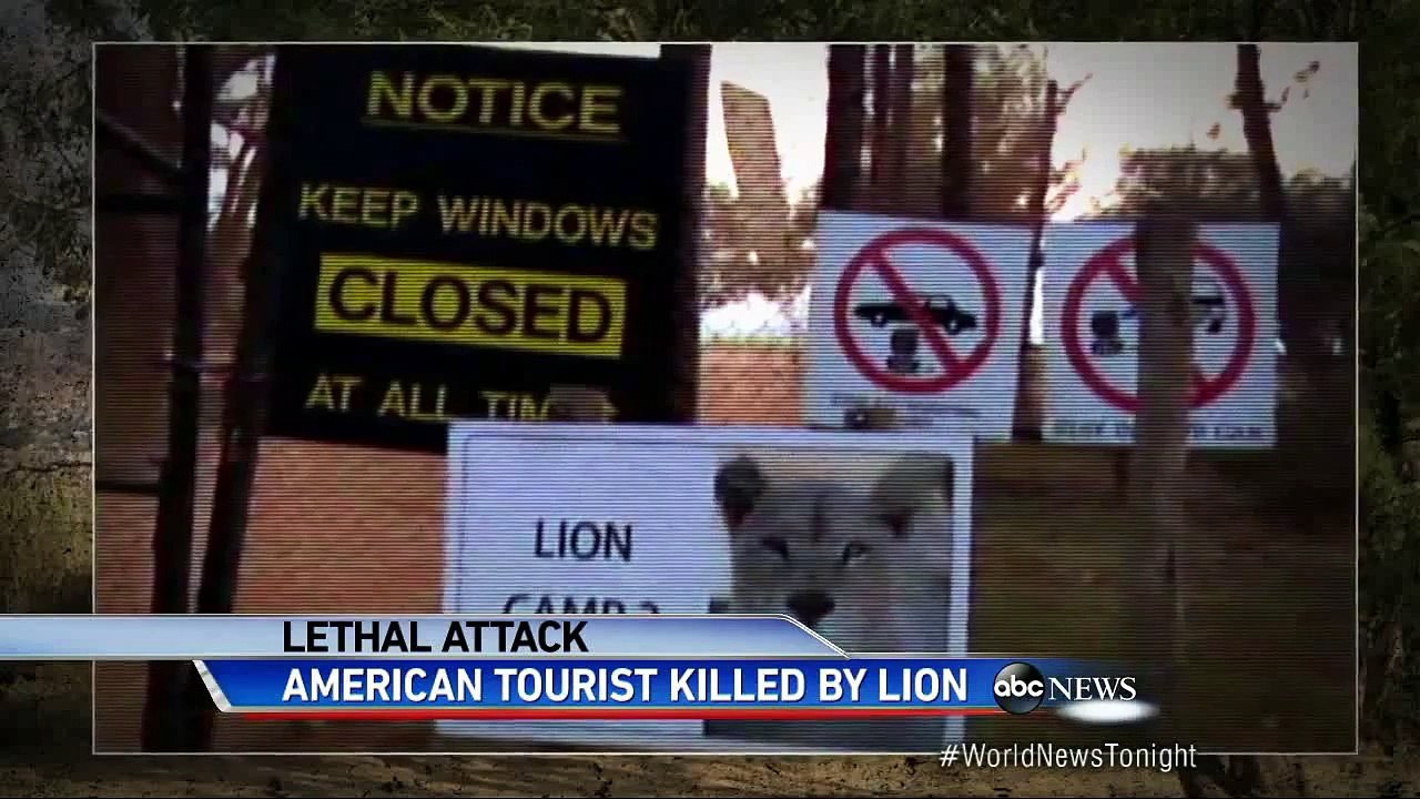 American Tourist Attacked by a Lion in South Africa