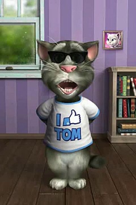 tom le chat parti4