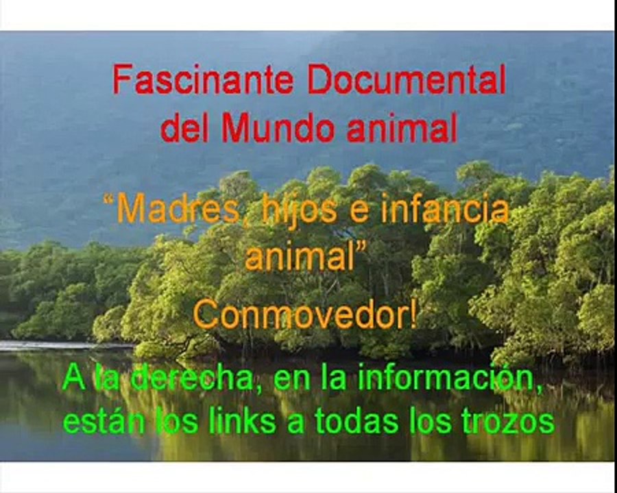 Documental. Patos de Flojel Homenaje a las madres del mundo animal 9/17