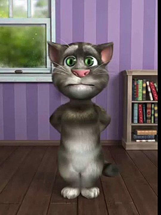 Le chat qui fait the mask