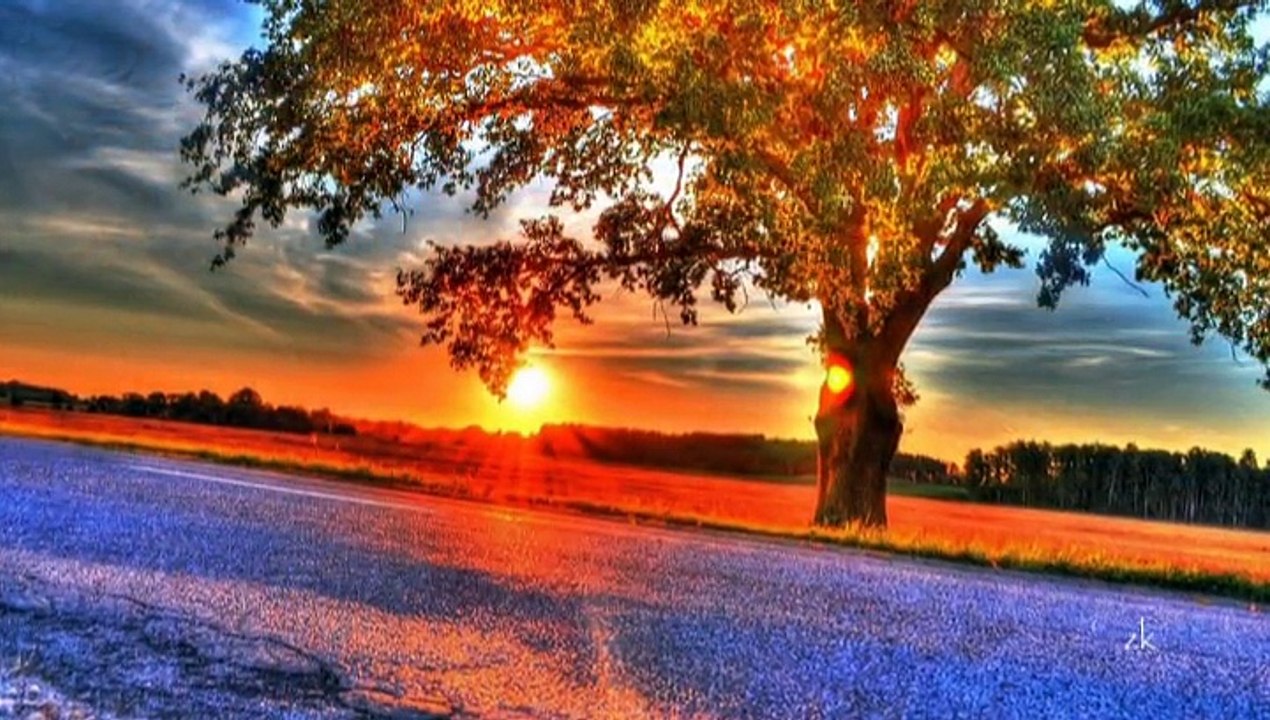 levent yüksel - beni unutma