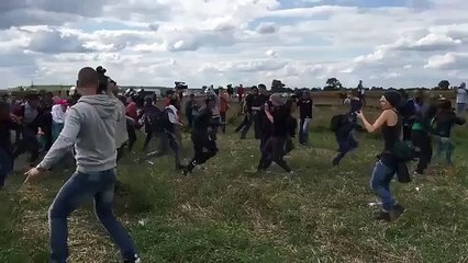 Une caméraman hongroise fait un croche-pied à un migrant