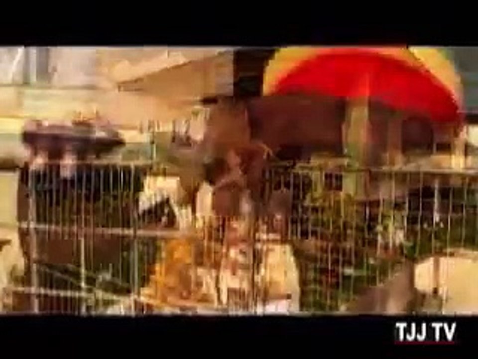 Marlon Asher - Love of Jah