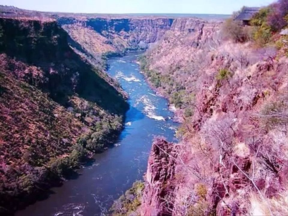 Rhodesians Never Die