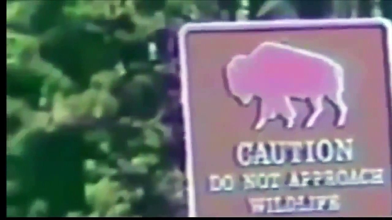 FUNNY ANIMAL ATTACK , Animals Attacking Humans Compilation 20151