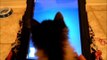 Anakin the Two Legged Kitten Plays Friskies Cat Fishing Game on the iPad