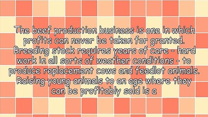 Herd Improvement And Greater Profits With Black Baldy Cattle