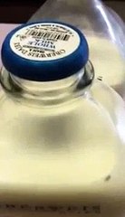 Nasty: Woman Finds Maggots In Her Milk!