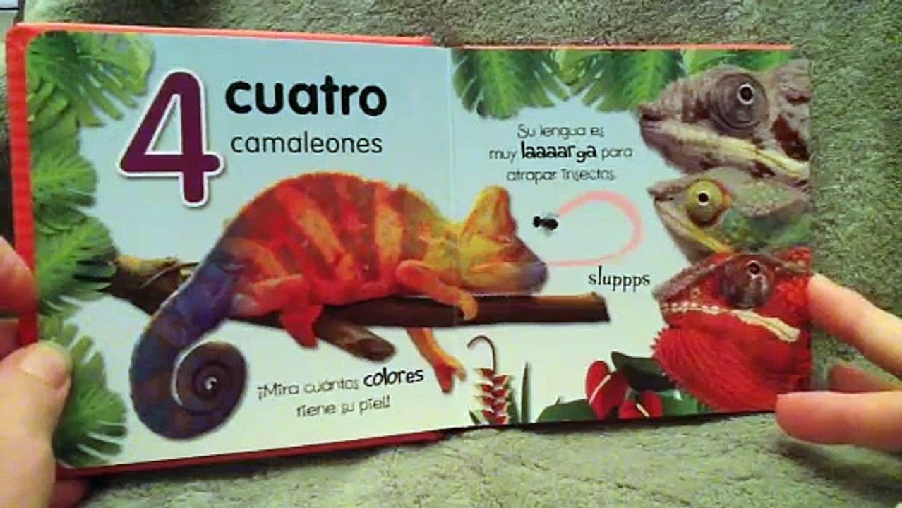 Children's counting book in Spanish and English