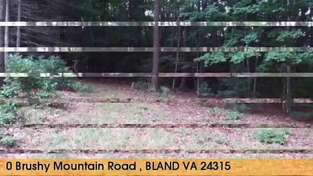 Home-For-Sale:-0-Brushy-Mountain-Road BLAND,