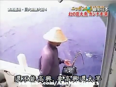 صيد سمكة هامور يزن 100 كيلو بسنارة كهربائية