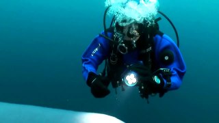 The giant colony of tunicates - La colonia gigante di tunicati