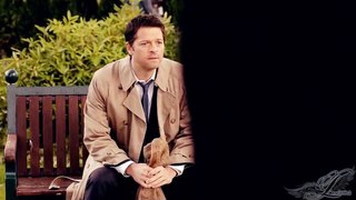 Someone Purer ||  Team Free Will  {S8}