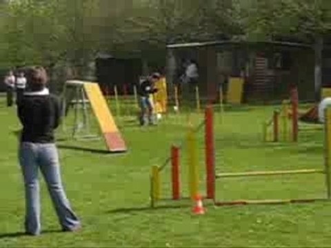 Venise agility