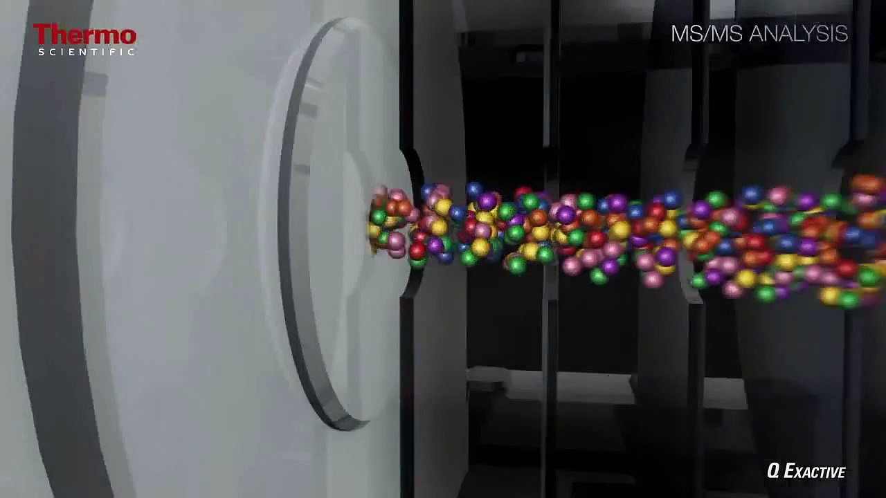 Thermo Q-Exactive