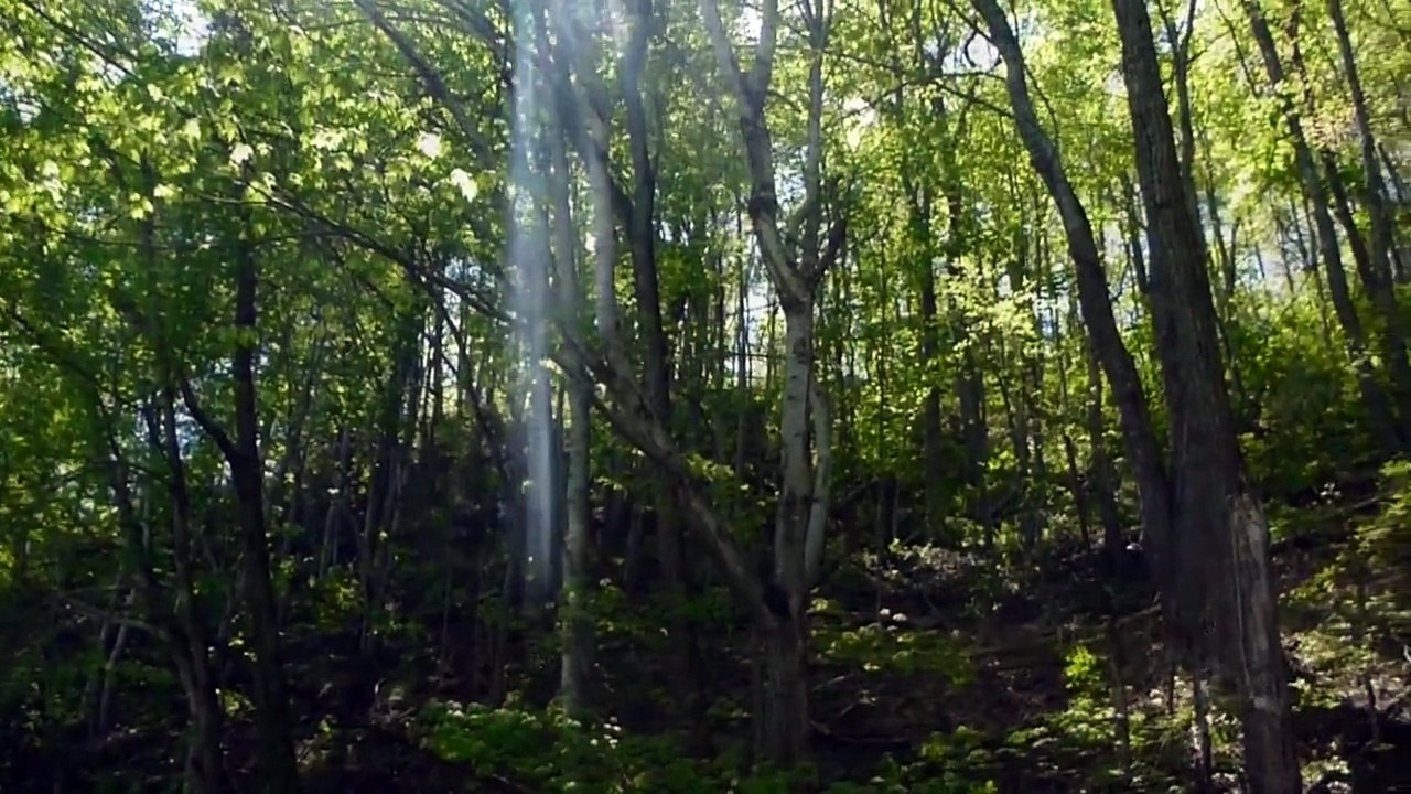 220 Miles on the Appalachian Trail: Amicalola Falls to Gatlinburg (Photography/Video Compilation)