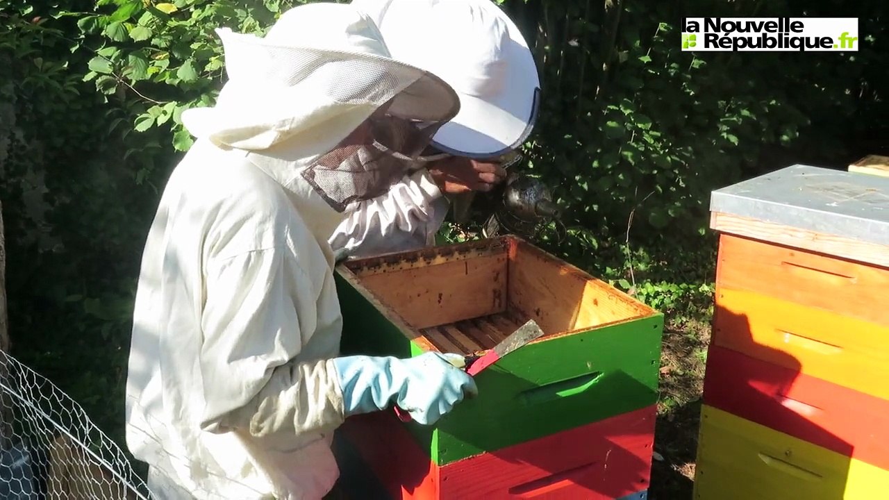 VIDEO. Tours : des ruches en ville pour parler des abeilles