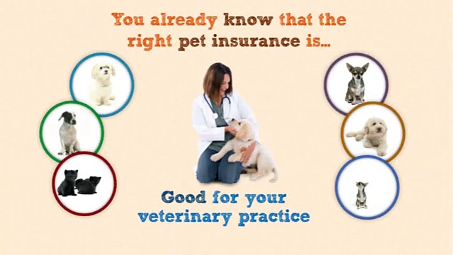 ⁣Pet Insurance and Veterinary Hospital Partners