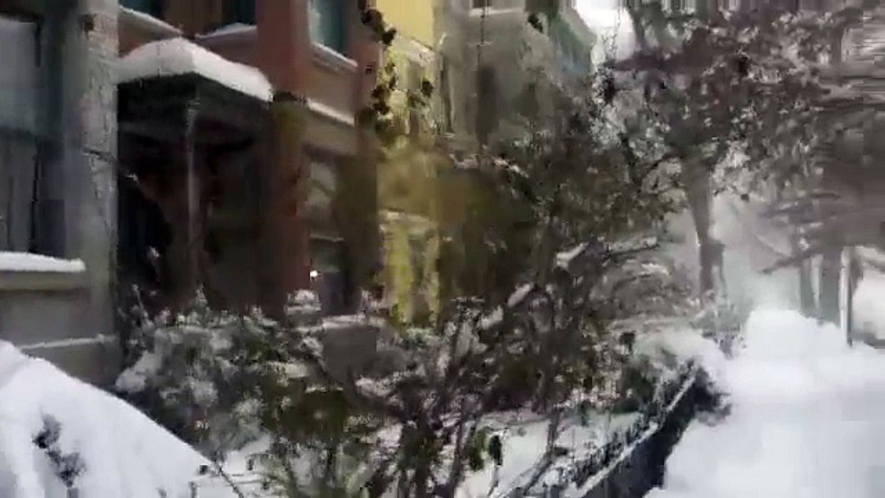 Winter Walk Through Our Capitol Hill Neighborhood