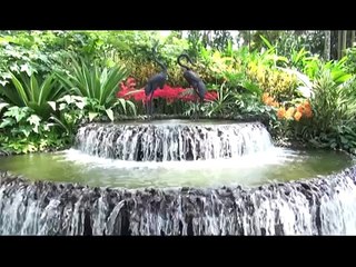 Khám phá Asean - Đất nước Singapore - Tập 7: Bảy ngày trên đất Singapore