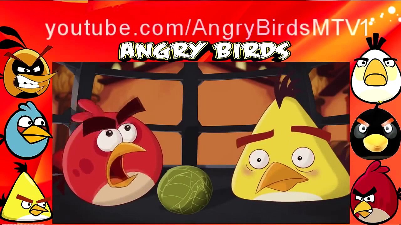 Angry Bird All Series eps 46