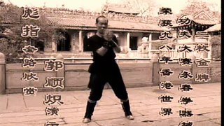 Pan Nam Wing Chun