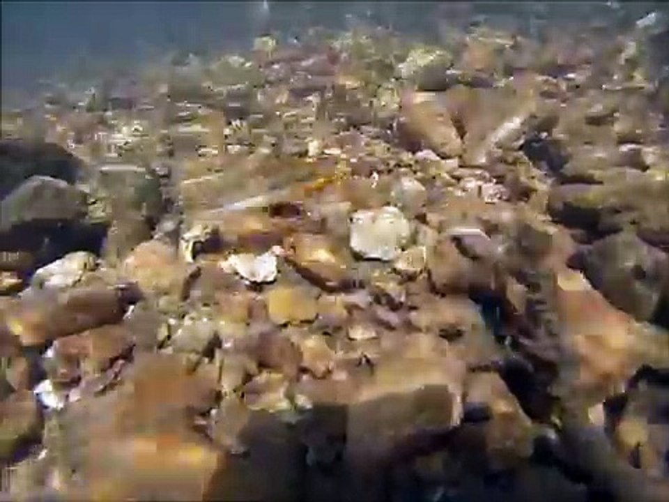 Snorkeling the Big Piney River, MO
