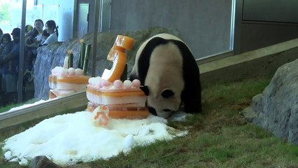 #1-6 Aug 2015 Kaihin and Youhin at Wakayama, Japan - 5th BD party