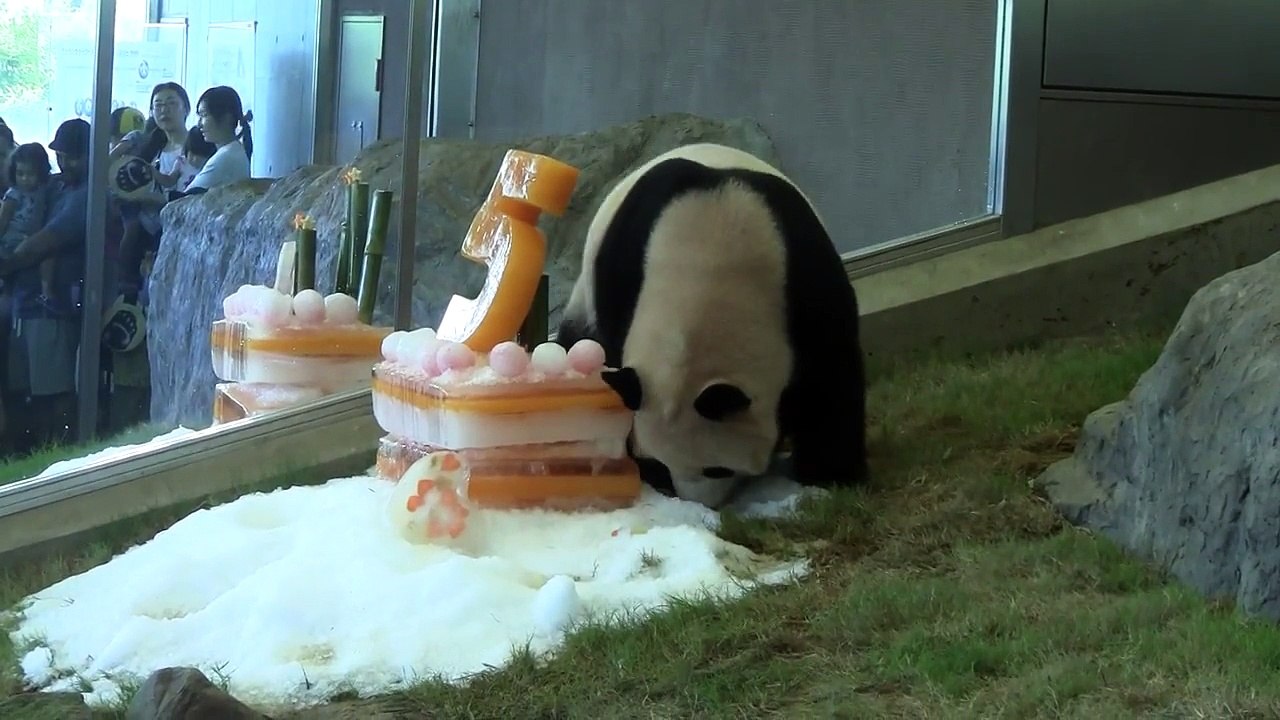 #1-6 Aug 2015 Kaihin and Youhin at Wakayama, Japan - 5th BD party