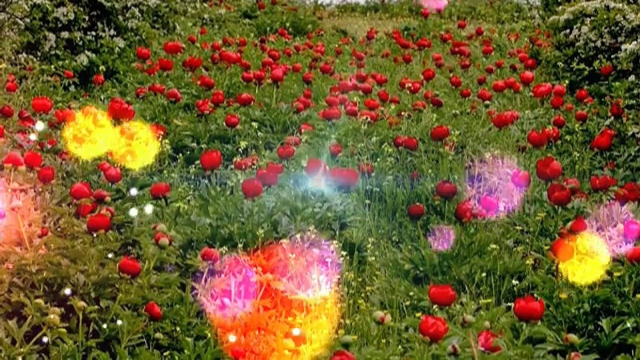 Bătrâneasca-Old fashioned dance