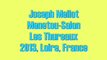 Wine Tasting with Simon Woods: Joseph Mellot Menetou Salon Les Thureaux 2013, Loire, France