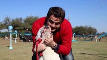 Amores Perros y Otros Amores - Cátedra de derecho animal Facultad de Abogacía Córdoba