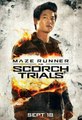 Maze Runner: The Scorch Trials (2015) Interview - Ki Hong Lee