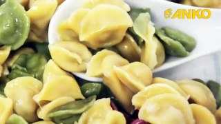 How To Make Dumpling By ANKO Automatic Pasta Machine