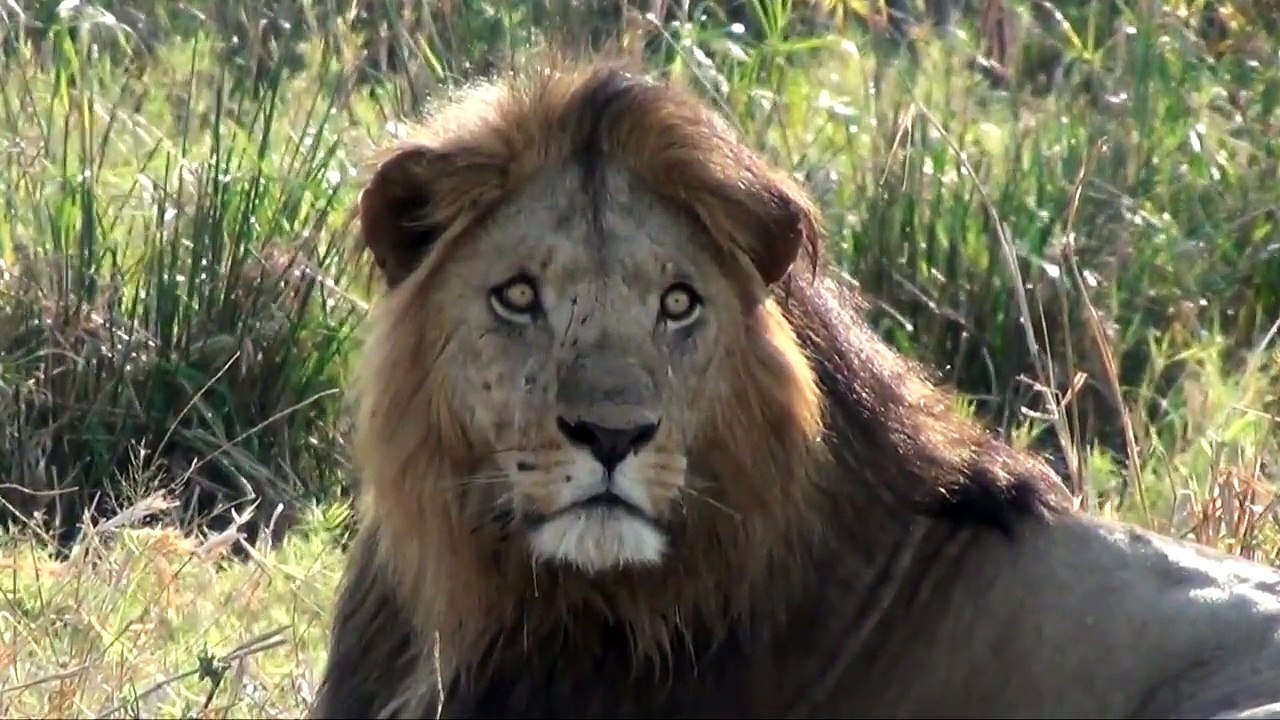 Kidepo National Park, Uganda