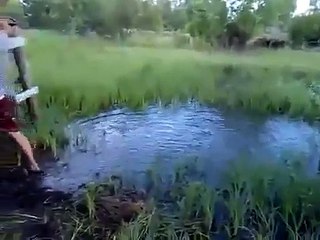 Funny jumper and jumping into the water