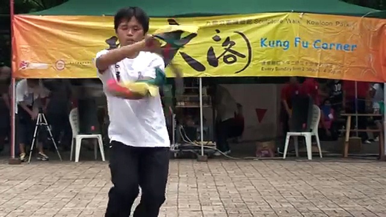 Pak Mei Lee Shek Lin Kungfu Master 10  白眉李石連師傅