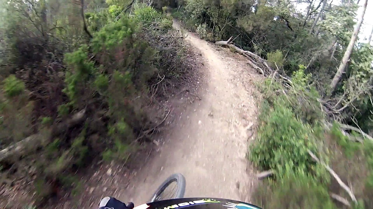 Bonita, probando el coil