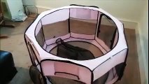 ToysOpoly Animal Playpen BToysOpoly Pet Playpen 45' Exercise Puppy Pen Kennel Review