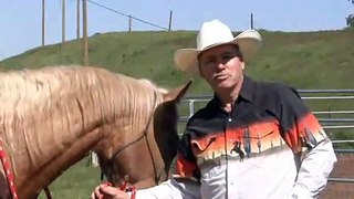 How to teach a horse to mount from both sides; Rick Gore Horsemanship; www.thinklikeahorse.org