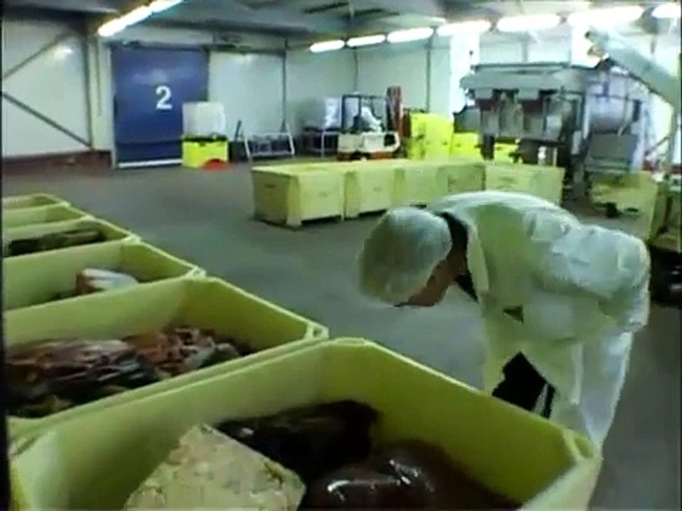 Dierenvoeding deel 4