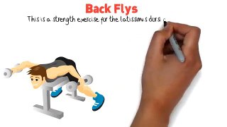 Back Flys Exercise - Exercise Tips to Lose Weight