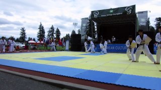 Kukkiwon tae kwon do at Korean Cultural Heritage Festival 2015