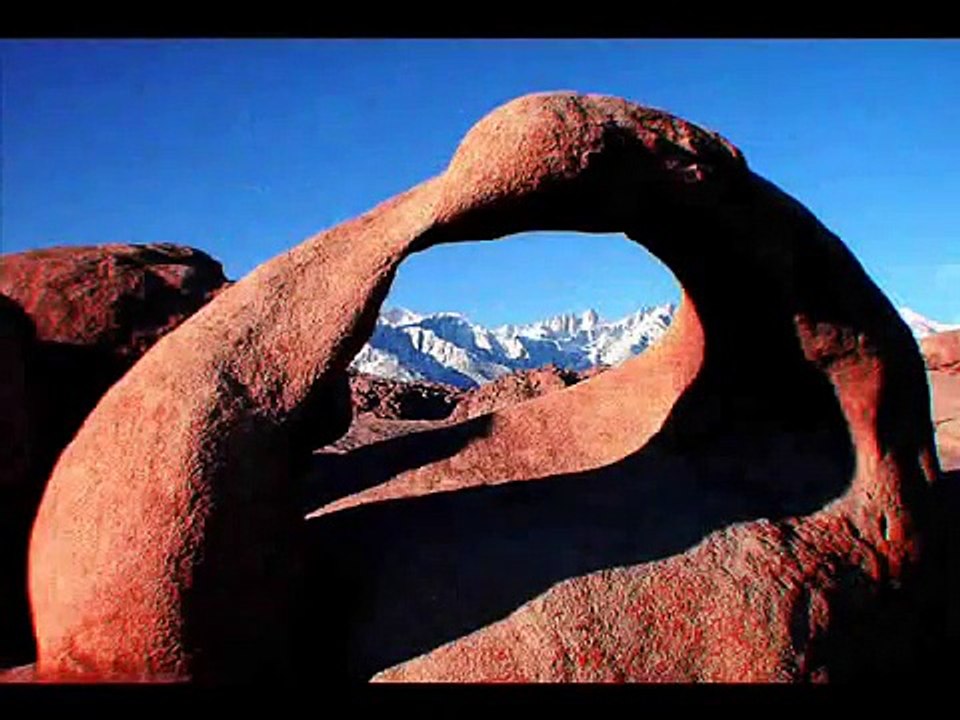 beautiful - vineyard uk