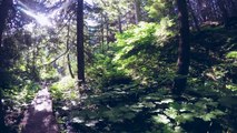 The Beautiful Nature of Canada - GoPro HERO4 Canada Road Trip In 4K