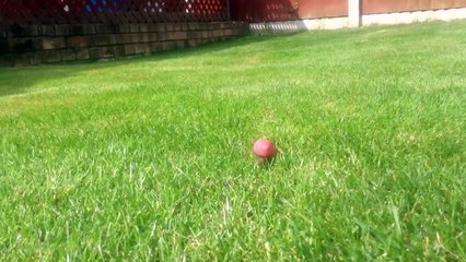 Turbo ... The home made turbo snail.