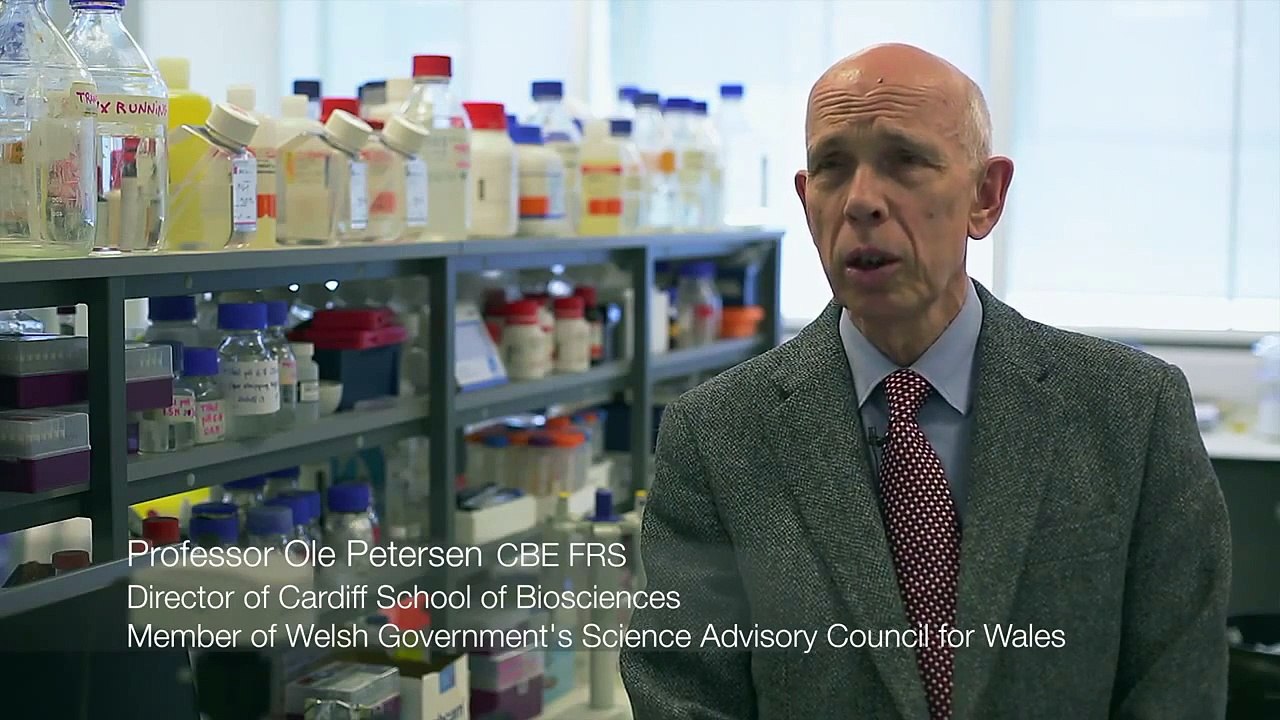 Professor Yves Barde - Sêr Cymru Research Chair in Neurobiology