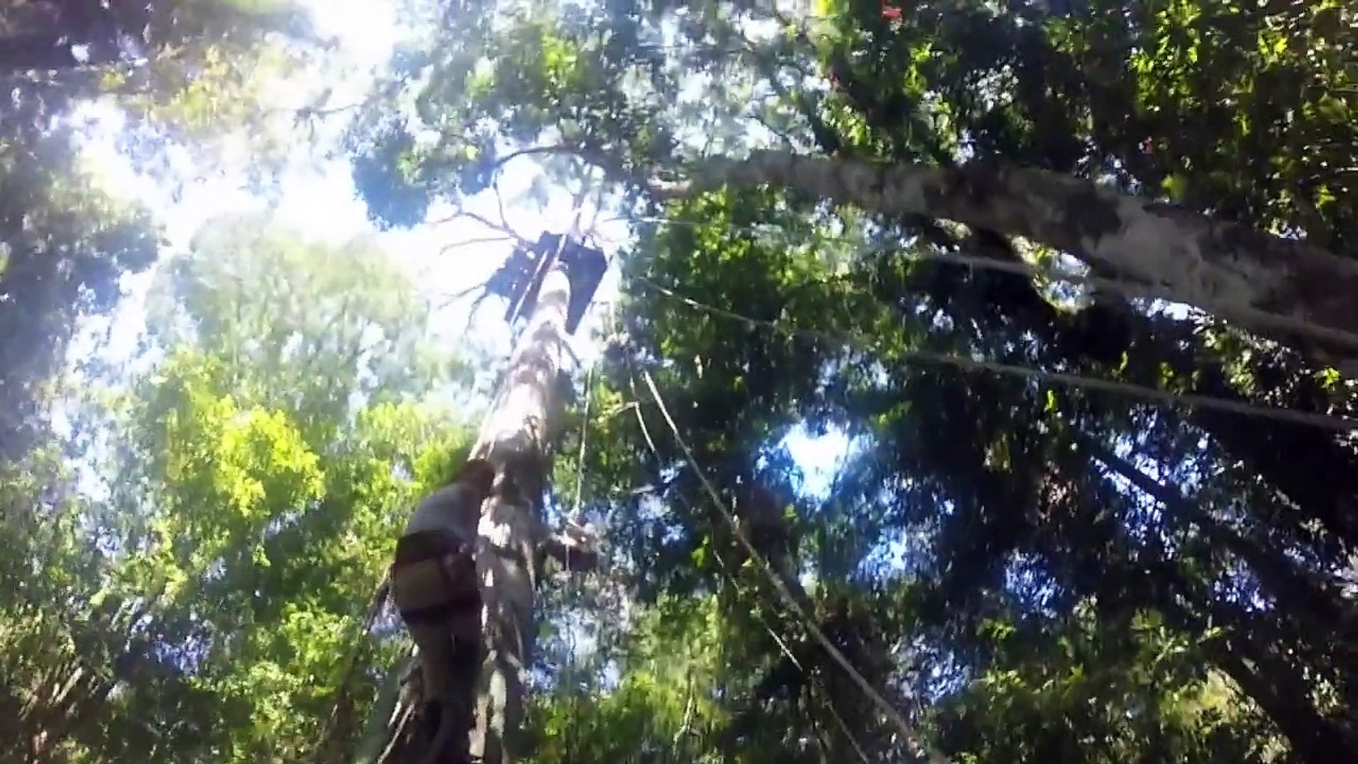 ⁣Peruvian Amazon Experience