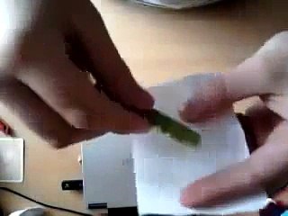 A Simple Magic Trick Using Pen Home Made