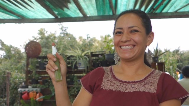 Homemade mosquito repellent: Straight from your garden